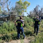 Impugna coltello e minaccia il suicidio per non farsi portare via i cani che maltrattava - Corriere Salentino