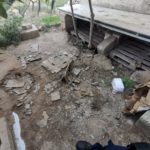 Impugna coltello e minaccia il suicidio per non farsi portare via i cani che maltrattava - Corriere Salentino