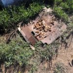 Impugna coltello e minaccia il suicidio per non farsi portare via i cani che maltrattava - Corriere Salentino