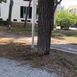 Stop al degrado della Fontana di Santa Rosa, via libera in giunta al recupero con 150 mila euro - Corriere Salentino