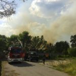 Incendi, giornata nera: fiamme raggiungono case ed asilo. Brucia Rauccio, Canadair in azione - Corriere Salentino