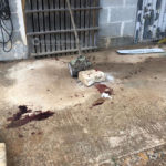 Pota gli ulivi e si recide il polso con la motosega: 67enne muore dissanguato - Corriere Salentino