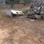 Pota gli ulivi e si recide il polso con la motosega: 67enne muore dissanguato - Corriere Salentino