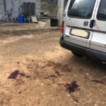 Pota gli ulivi e si recide il polso con la motosega: 67enne muore dissanguato - Corriere Salentino