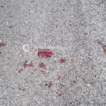 Inseguiti dopo un furto, schianto a tutta velocità contro un muro: in ospedale tre giovani - Corriere Salentino