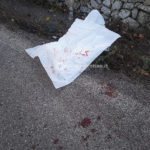 Inseguiti dopo un furto, schianto a tutta velocità contro un muro: in ospedale tre giovani - Corriere Salentino