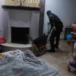 Nella cassetta di sicurezza spuntano soldi ed una pistola clandestina: "Puntina" torna in carcere - Corriere Salentino