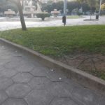 Una nuova Piazza Mazzini è possibile: la proposta del comitato spontaneo cittadino "300mila idee in piazza" - Corriere Salentino
