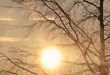 Notizie dall'Italia e dal mondo - Corriere Salentino