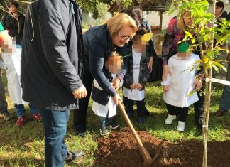 Dagli anziani 1.000 alberi per il futuro