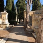 In migliaia hanno onorato il giorno dei defunti, Signore: “Superata la prova del decoro e della pulizia nel cimitero” - Corriere Salentino