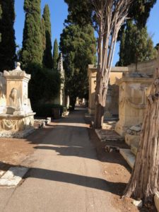 In migliaia hanno onorato il giorno dei defunti, Signore: “Superata la prova del decoro e della pulizia nel cimitero” - Corriere Salentino