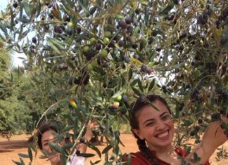 Ponte Ognissanti: Coldiretti Puglia, agriturismo +9% complici temperature primaverili