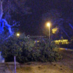 Vento e pioggia sferzano Gallipoli: "spazzati" via alberi, cartelloni e impalcature. Danni e disagi - Corriere Salentino