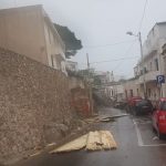 Il Salento nella morsa del maltempo: divelti alberi, cartelloni e impalcature. Pini caduti sulle scuole - Corriere Salentino