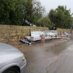 Il Salento nella morsa del maltempo: divelti alberi, cartelloni e impalcature. Pini caduti sulle scuole - Corriere Salentino