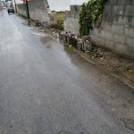 Il Salento nella morsa del maltempo: divelti alberi, cartelloni e impalcature. Pini caduti sulle scuole - Corriere Salentino