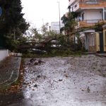 Il Salento nella morsa del maltempo: divelti alberi, cartelloni e impalcature. Pini caduti sulle scuole - Corriere Salentino