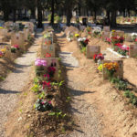 In migliaia hanno onorato il giorno dei defunti, Signore: “Superata la prova del decoro e della pulizia nel cimitero” - Corriere Salentino