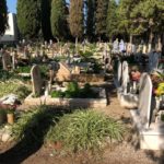 In migliaia hanno onorato il giorno dei defunti, Signore: “Superata la prova del decoro e della pulizia nel cimitero” - Corriere Salentino