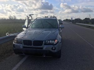 Schianto contro una mandria di cinghiali alle “Cesine”, due feriti. Tarda l'ok per la cattura, oasi a rischio - Corriere Salentino