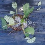 Violenta grandinata a Parabita, coltivazioni distrutte - Corriere Salentino