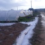 Violenta grandinata a Parabita, coltivazioni distrutte - Corriere Salentino