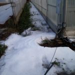 Violenta grandinata a Parabita, coltivazioni distrutte - Corriere Salentino