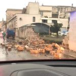 Il Salento nella morsa del maltempo: divelti alberi, cartelloni e impalcature. Pini caduti sulle scuole - Corriere Salentino