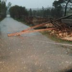 Maltempo, Coldiretti Puglia: inferno nei campi, danneggiati duramente i raccolti autunnali - Corriere Salentino