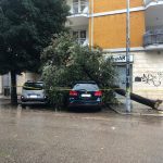 Il Salento nella morsa del maltempo: divelti alberi, cartelloni e impalcature. Pini caduti sulle scuole - Corriere Salentino