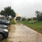 Il Salento nella morsa del maltempo: divelti alberi, cartelloni e impalcature. Pini caduti sulle scuole - Corriere Salentino