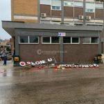 Il Salento nella morsa del maltempo: divelti alberi, cartelloni e impalcature. Pini caduti sulle scuole - Corriere Salentino