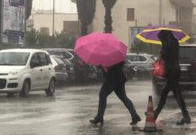 Ambiente - Corriere Salentino