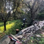 Sangue sulle strade, drammatico schianto: quattro morti ed un ferito grave - Corriere Salentino