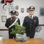 Controlli a tappeto dopo l'agguato mafioso, sette arresti: sequestrati mitra, lanciarazzi e macheti - Corriere Salentino