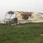 Il Salento nella morsa del maltempo: divelti alberi, cartelloni e impalcature. Pini caduti sulle scuole - Corriere Salentino