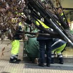 Il Salento nella morsa del maltempo: divelti alberi, cartelloni e impalcature. Pini caduti sulle scuole - Corriere Salentino