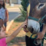 Nasce il progetto “Verso l'Agriludoteca di Comunità” - Corriere Salentino