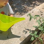 Nasce il progetto “Verso l'Agriludoteca di Comunità” - Corriere Salentino