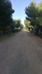 Lottizzazione abusiva in un campeggio per realizzare bungalow e case turistiche: 16 indagati e maxi sequestro - Corriere Salentino