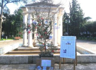 Martano, un ulivo secco per albero di Natale contro l’utilizzo dei pesticidi