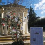 Martano, un ulivo secco per albero di Natale contro l'utilizzo dei pesticidi - Corriere Salentino