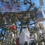 Martano, un ulivo secco per albero di Natale contro l'utilizzo dei pesticidi - Corriere Salentino