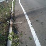 "Vola" nei campi dopo l'uscita di strada, ferito un uomo. In mattinata scontro tra auto e cavallo - Corriere Salentino