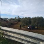 "Vola" nei campi dopo l'uscita di strada, ferito un uomo. In mattinata scontro tra auto e cavallo - Corriere Salentino