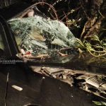 Violento schianto contro un albero: rimane incastrato tra le lamiere dell’auto. Ferito in codice rosso - Corriere Salentino