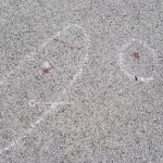 Alba movimentata sulla 275: pestano gestore per rapinarlo, poco dopo un'auto esce fuori strada - Corriere Salentino