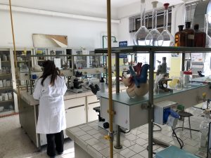 Open day al “De Pace”, dalla creazione dei cosmetici all’audio-video: tutto quello che chiede il mondo del lavoro - Corriere Salentino