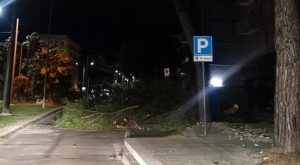 Il maestrale sferza il Salento: abbattuti pali, alberi e cartelloni stradali - Corriere Salentino